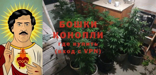 стаф Зеленодольск