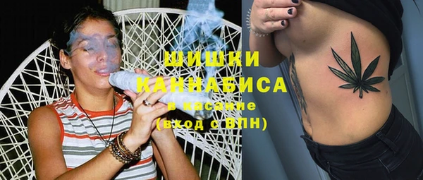 прущие грибы Зеленокумск