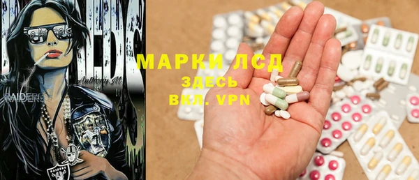 стаф Зеленодольск