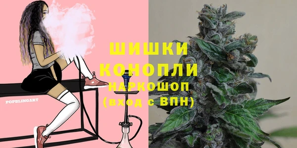 крисы Зерноград