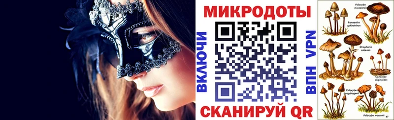 Псилоцибиновые грибы Psilocybine cubensis  Купить закладки  Полевской 